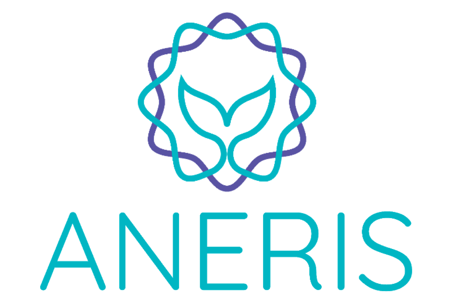 ANERIS